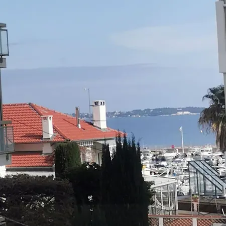 Palm Hippocampe - Beautiful Near By Sea *